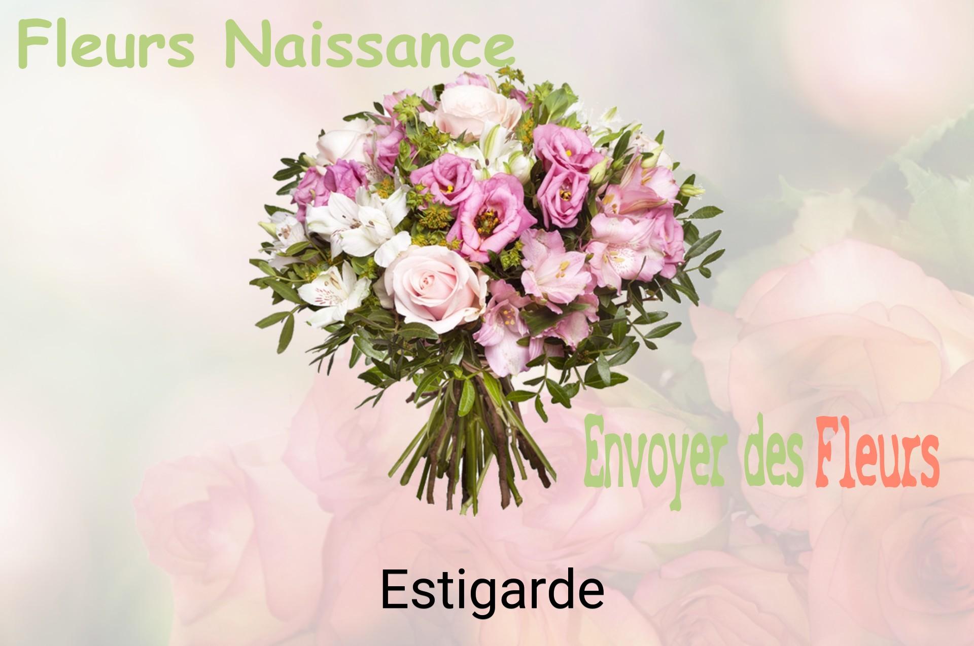 Bouquet de fleurs de naissance livré à Estigarde